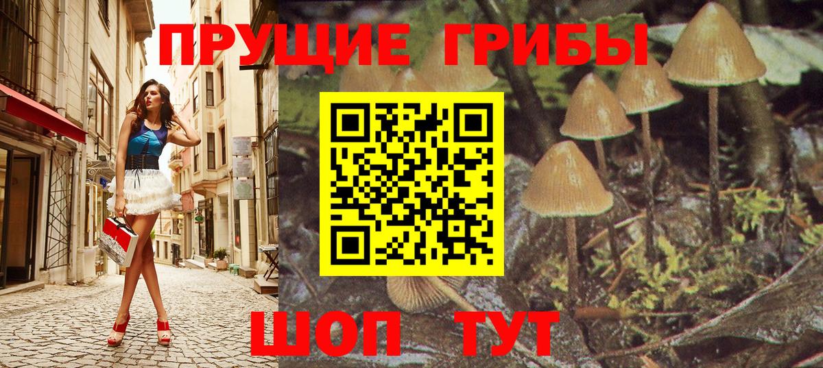 Галлюциногенные грибы прущие грибы  Вход с VPN  Урус-Мартан 