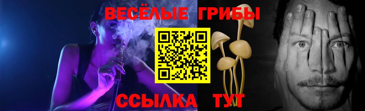 Псилоцибиновые грибы MAGIC MUSHROOMS Урус-Мартан